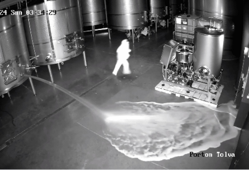 Στα πράσα πιάστηκε ένας σαμποτέρ σε οινοποιείο – Πώς 60.000 λίτρα πανάκριβο κρασί κατέληξαν στο πάτωμα