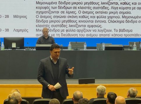 Στα θρανία για πρώτη φορά πυροσβέστες, δασάρχες, αστυνομικοί, ΟΤΑ και ΔΕΔΔΗΕ για τις δασικές πυρκαγιές
