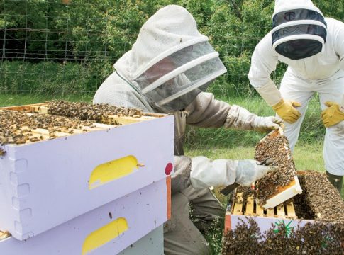 Η Βουλή θα χορηγήσει 1.200 κυψέλες σε πληγέντες μελισσοκόμους