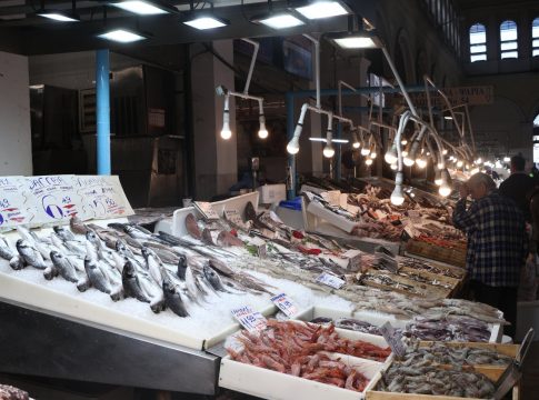 Θαλασσινά: Πώς οι καταναλωτές μπορούν να ξεχωρίσουν τα φρέσκα – Χρήσιμες συμβουλές από ιχθυοπώλες