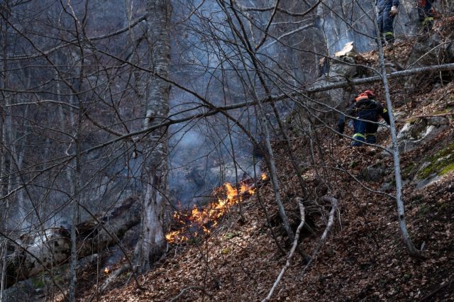 «Οι πυρκαγιές δεν αντιμετωπίζονται με ευχολόγια» – Τι λένε Δήμαρχοι της χώρας