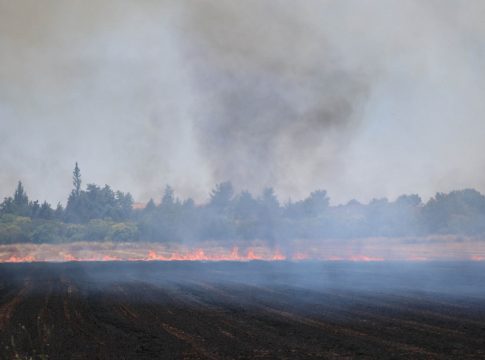 Φωτιά στον Άγιο Θωμά Λάρισας – Ήχησε το 112