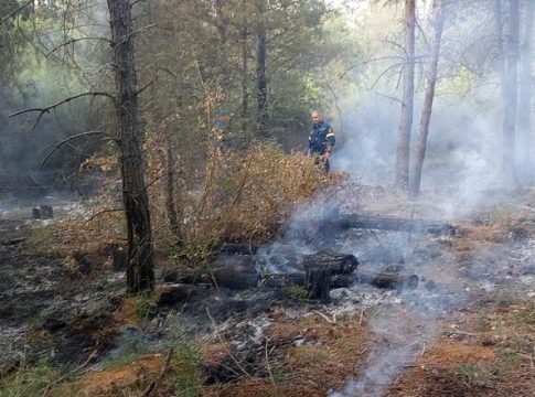 Θεσσαλονίκη: Πυρκαγιά στο Σέιχ Σου – Προσήχθη ύποπτος