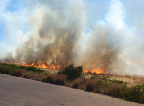 Πυρκαγιά στο Μαρκόπουλο – Επιχειρούν αεροσκάφη και ελικόπτερα