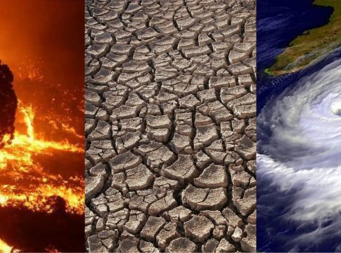Η κλιματική κρίση αλλάζει τα δεδομένα – Ηχηρό καμπανάκι κινδύνου για τις φωτιές