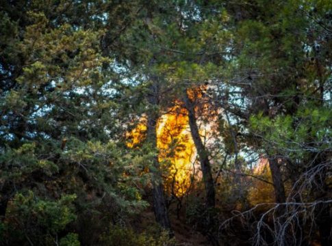 Κρήτη: Μεγάλη πυρκαγιά στο Λευκοχώρι