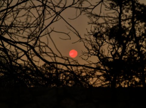 Φωτιά: Νύχτα αγωνίας για την Ηλεία – Δύσκολη κατάσταση και πολλές απομακρύνσεις