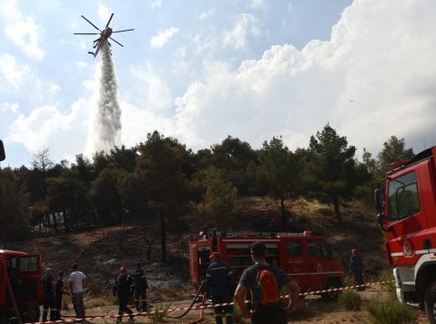 Φωτιά: Στις φλόγες δασική έκταση στο Σουφλί – Επιχειρούν ισχυρές δυνάμεις της Πυροσβεστικής