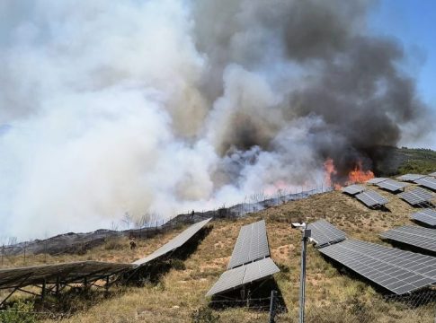 Φωτιά στη Ζάκυνθο σε δασική έκταση κοντά στο χωριό Αγαλάς
