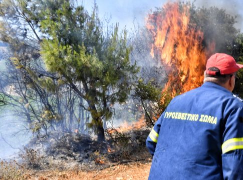 Φωτιά στην Κάτω Ποσειδωνία στο Λαύριο – Ήχησε το 112