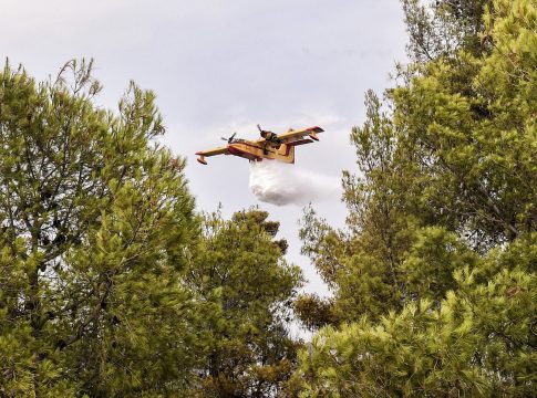 Φωτιά στα Χανιά: Καίει δασική έκταση στη περιοχή Μεσαύλια