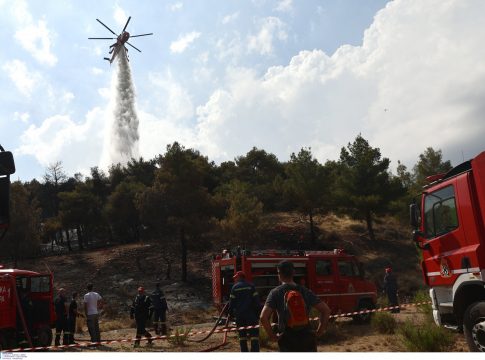 Φωτιά στα Γλυκά Νερά: Ποινική δίωξη για εμπρησμό από αμέλεια σε 35χρονο