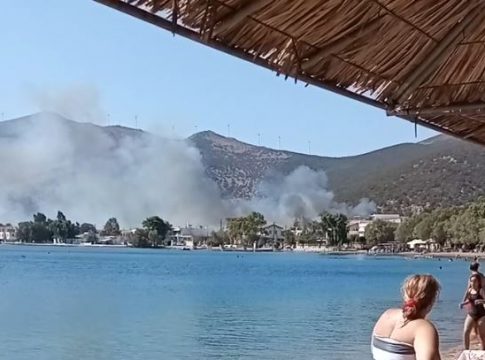 Φωτιά στην Εύβοια – Δίπλα στα σπίτια οι φλόγες στην περιοχή του Αλμυροπόταμου