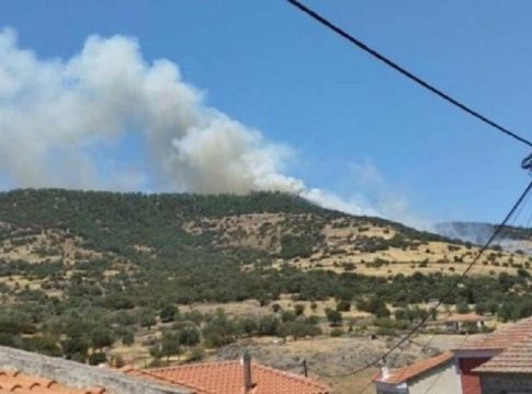 Λέσβος: Συνελήφθη 28χρονος για τη φωτιά στο Μανταμάδο