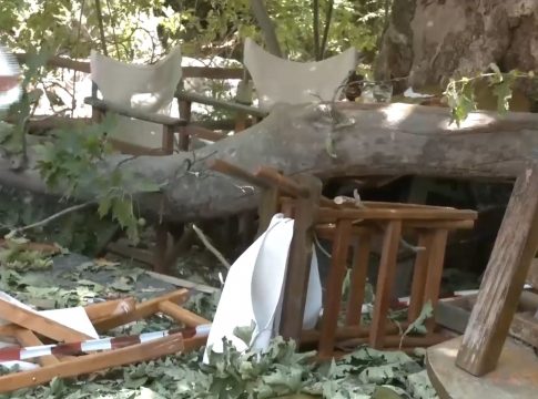 Λιτόχωρο: Δέκα άτομα προσπαθούσαν να σηκώσουν το κλαδί που χτύπησε την 44χρονη – Σοκάρουν οι εικόνες