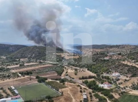 Μεγάλη φωτιά στον Ωρωπό – Ήχησε το 112, πετούν εναέρια μέσα