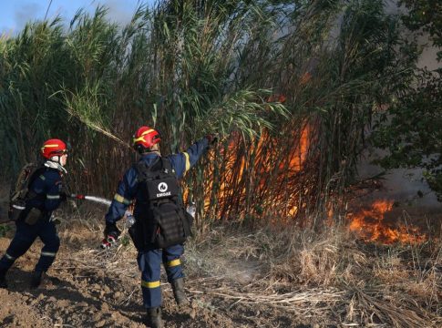 Φωτιά τώρα στον Μαραθώνα – Σηκώθηκαν και εναέρια μέσα