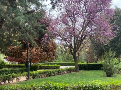 Κλείνει δημοτικά πάρκα ο δήμος Κηφισιάς για το κίνδυνο πυρκαγιάς