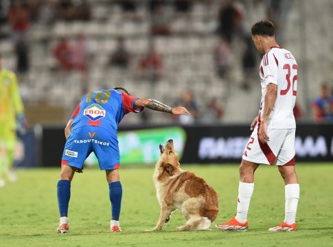 Έπος: Σκύλος διέκοψε το Βόλος – Ολυμπιακός και αποθεώθηκε! (vid)