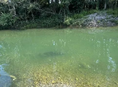 Ποταμός Δρίνος: Βυθίστηκε πλοιάριο με μετανάστες – Αναζητούν αγνοούμενους, τουλάχιστον 10 νεκροί