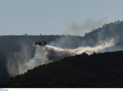 Φωτιά τώρα στο Μαρκόπουλο – «Σηκώθηκαν» εναέρια μέσα