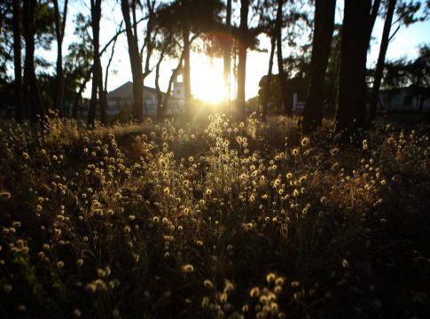 Καιρός: Άνοδος της θερμοκρασίας σήμερα – Πού θα βρέξει