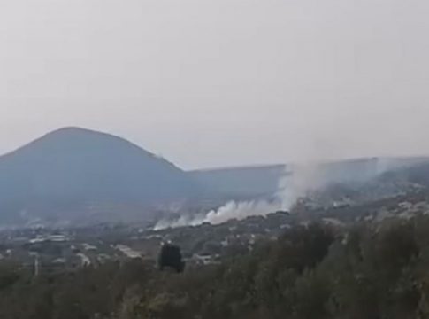 Φωτιά στα Καλύβια στη θέση Προφάρτα