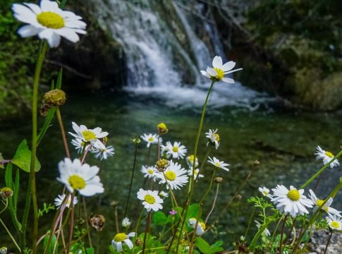 Καιρός: Πώς θα είναι τον Μάιο – Η μακροπρόθεσμη πρόγνωση του Meteo