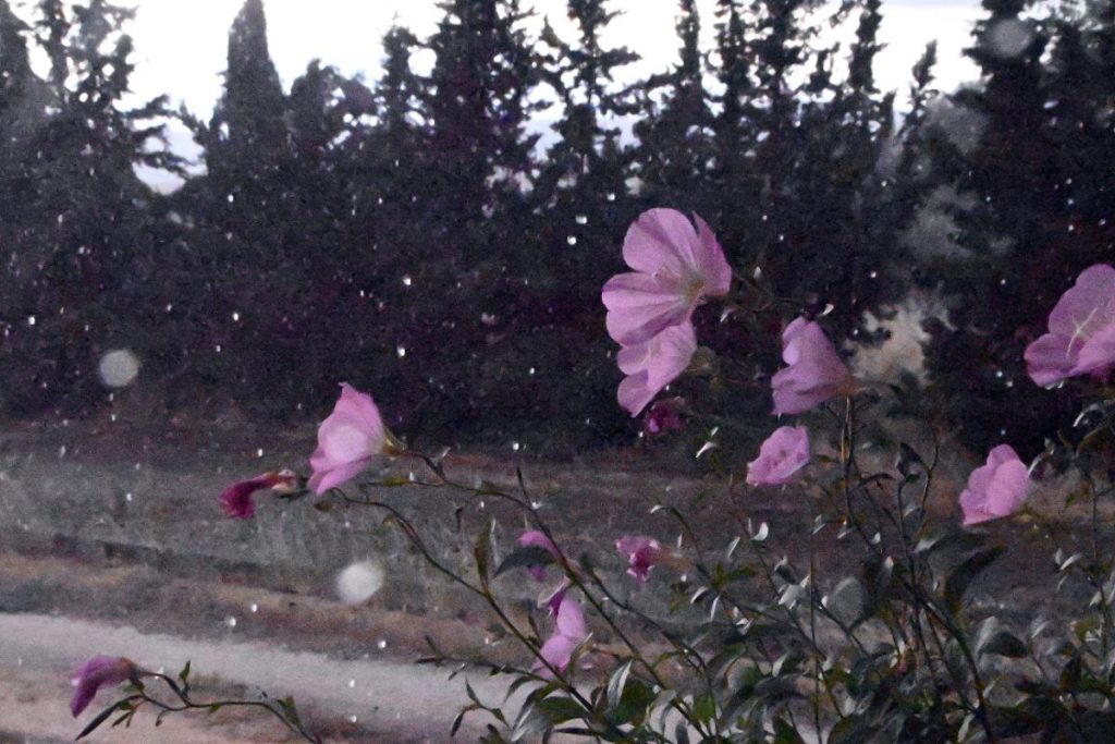 Άστατος ο καιρός το Σάββατο με βροχές: Πότε θα «χτυπήσουν» καταιγίδες την Αττική