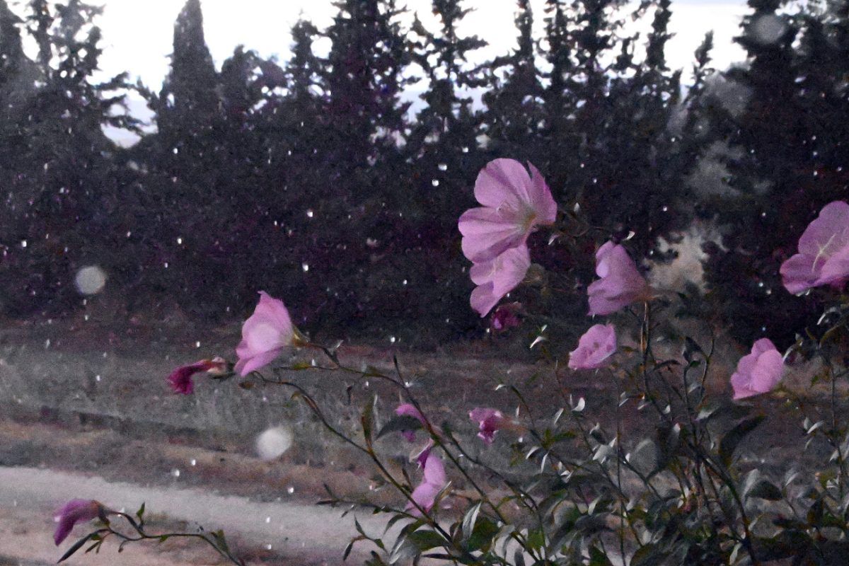 Άστατος ο καιρός το Σάββατο με βροχές: Πότε θα «χτυπήσουν» καταιγίδες την Αττική