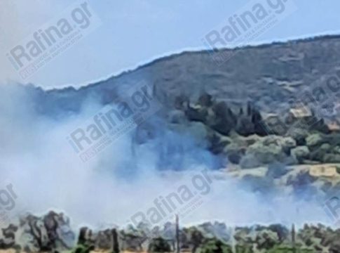 Συναγερμός για φωτιά στα Σπάτα – Στο σημείο ισχυρές δυνάμεις της Πυροσβεστικής