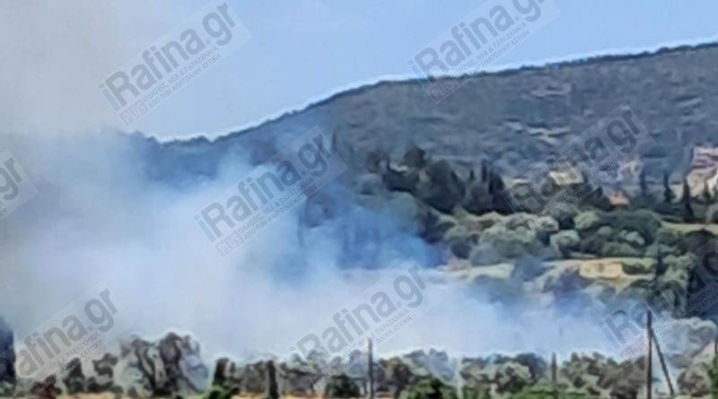 Συναγερμός για φωτιά στα Σπάτα – Στο σημείο ισχυρές δυνάμεις της Πυροσβεστικής