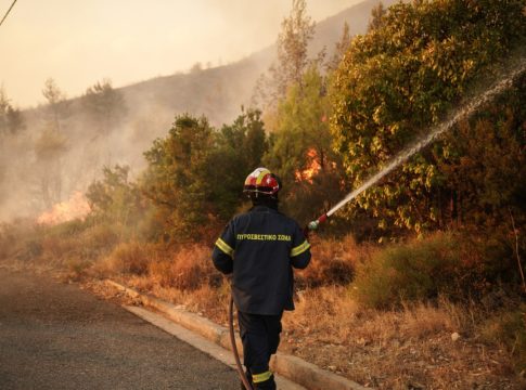 Κρήτη: Φωτιά στην περιοχή Γούβες Ηρακλείου – Σηκώθηκαν εναέρια μέσα (vid)