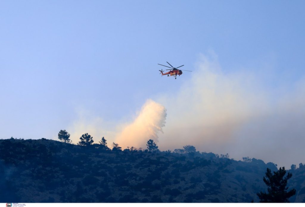 Φωτιά στο Λευκόχωμα Λακωνίας – Ηχησε το 112
