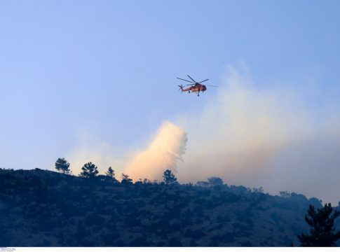 Φωτιά στο Λευκόχωμα Λακωνίας – Ηχησε το 112