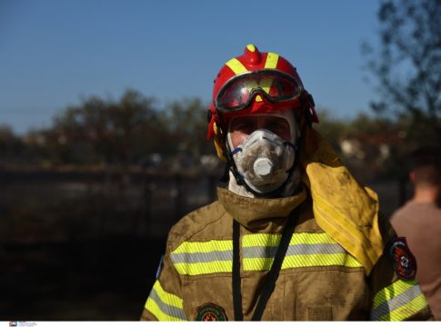 Πυροσβεστική: 41 πυρκαγιές το τελευταίο 24ωρο σε όλη τη χώρα