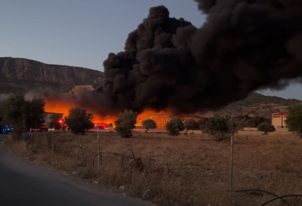Μεγάλη φωτιά σε χώρο εργοστασίου στα Μέγαρα – Ακούγονται εκρήξεις