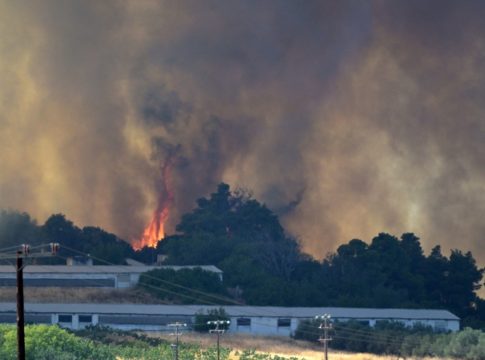 Κάηκαν χιλιάδες ζώα στην Εύβοια – Ολοκληρωτική καταστροφή σε κτηνοτροφικές μονάδες και στάβλους