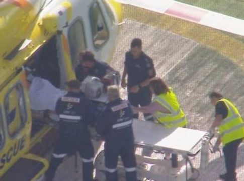Αυστραλία: Λιοντάρι κατασπάραξε το χέρι γυναίκας σε ζωολογικό κήπο