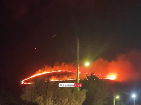 Φωτιά στη Μεσσηνία: Καίγεται αγροτοδασική έκταση στη Μεταμόρφωση
