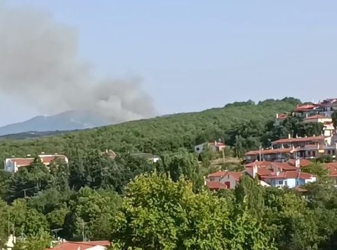 Θεσσαλονίκη: Φωτιά στο δάσος του Φιλύρου – Μεγάλη κινητοποίηση της Πυροσβεστικής – Ήχησε το 112