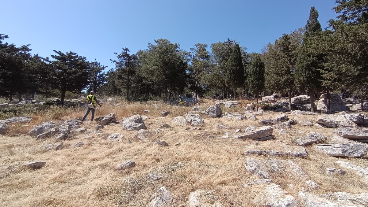 Νέες αντιπυρικές ζώνες στην Κρήτη