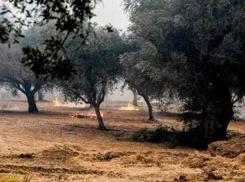 Φωτιά στο Πηγάδι Ηλείας – Σηκώθηκαν εναέρια μέσα