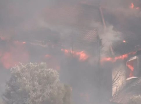 Φωτιές: Καίγονται σπίτια, ανεξέλεγκτη η φωτιά στην Κερατέα – Πύρινα μέτωπα σε Κεφαλονιά, Αχαΐα, Μέγαρα