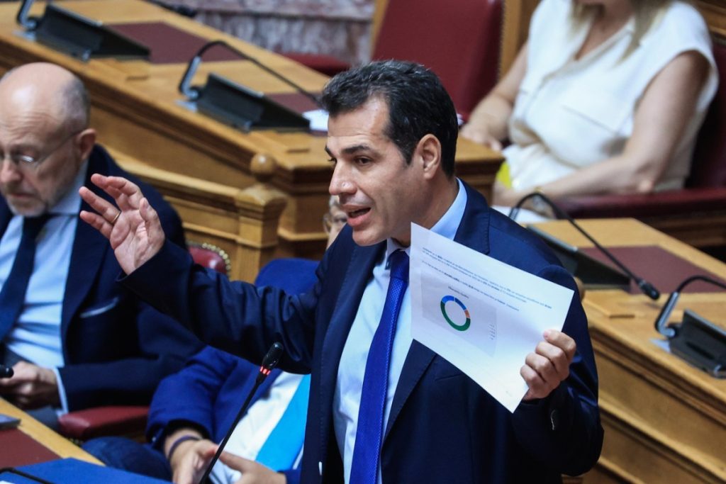 «Αυθαίρετες» οι παρεμβάσεις Πλεύρη για τις ΜΚΟ, λέει η ειδική εισηγήτρια του ΟΗΕ – «Ανησυχητικά τα νέα από την Ελλάδα»