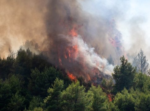 Φωτιά στην Καστοριά: Ενισχύθηκαν οι δυνάμεις πυρόσβεσης στο Μακρυχώρι – Κατακαίει δασική έκταση