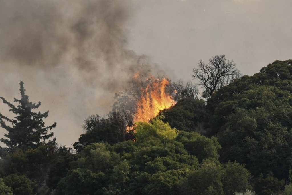Φωτιά σε Πύργο και Αχαΐα – Ήχησε το 112