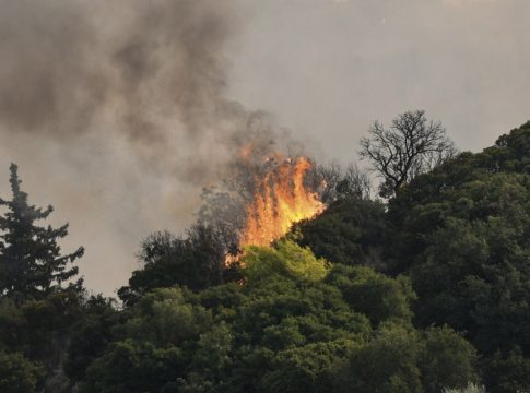 Φωτιά σε Πύργο και Αχαΐα – Ήχησε το 112