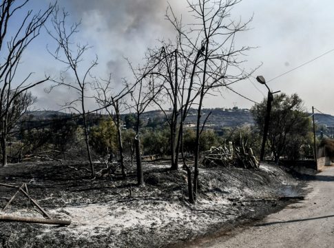 Σύλληψη 25χρονου στην Πάτρα για εμπρησμό: «Καταγράφηκε σε φωτογραφία, φαίνεται σκυφτός να ανάβει πυρκαγιά»