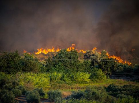 Αναζωπυρώθηκε η μεγάλη φωτιά στην Πρέβεζα – Πυρκαγιά και στην Καστροσυκιά